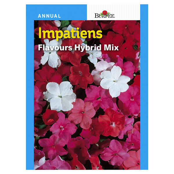 slide 1 of 1, Burpee Impatiens Flavors Hybrid Mix Seeds, 1 ct