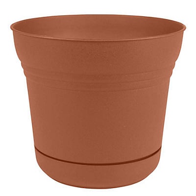 slide 1 of 1, Bloem Saturn Terracotta Planter, 12 in