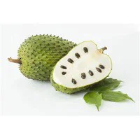 Soursop/Guanabana