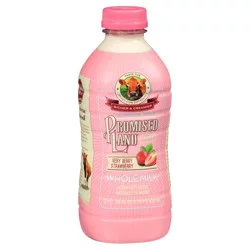 Promised Land Dairy Very Berry Strawberry Whole Milk - 28 fl oz