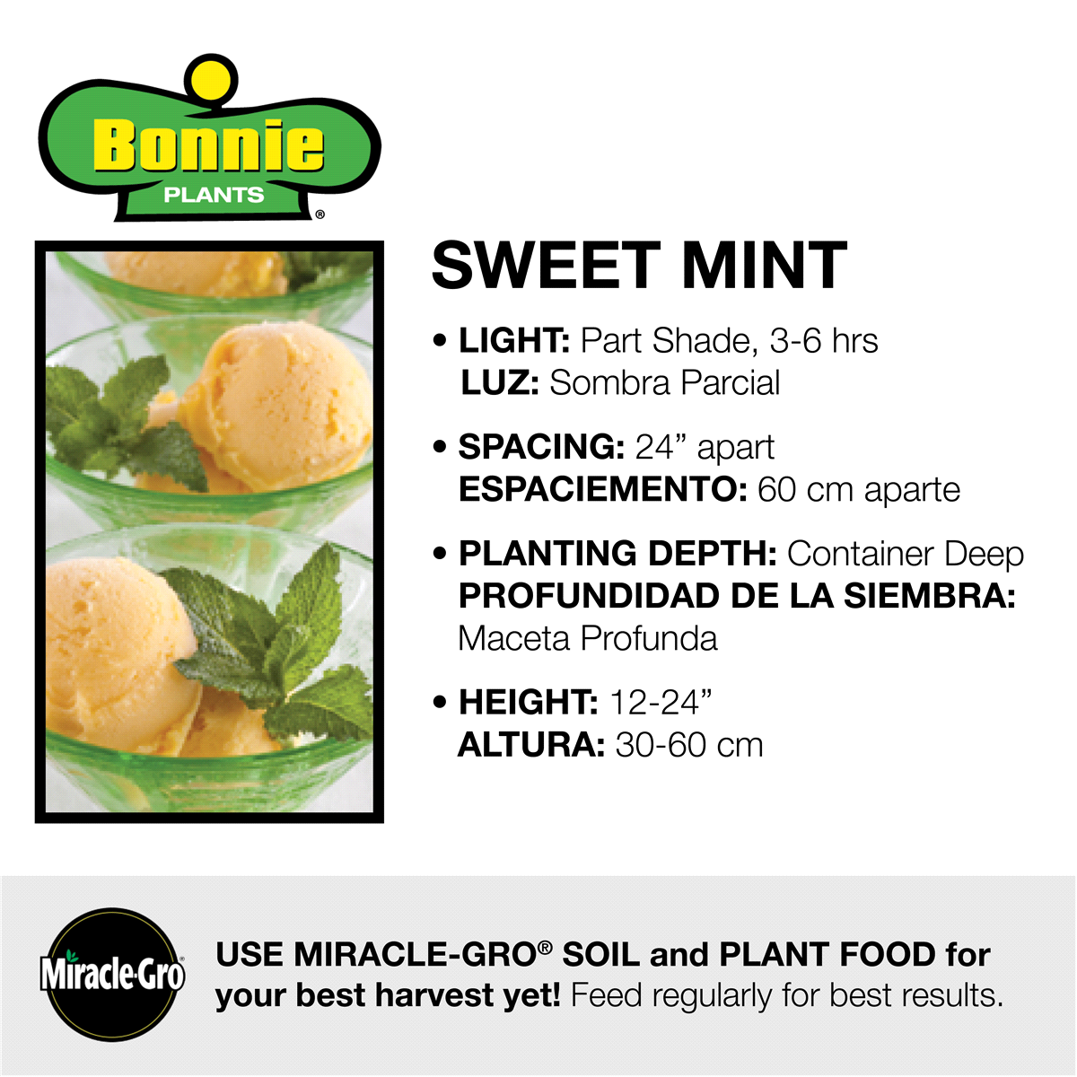 slide 9 of 9, Bonnie Plants Mint Sweet Mint Cuttings - Ea, 1 ct