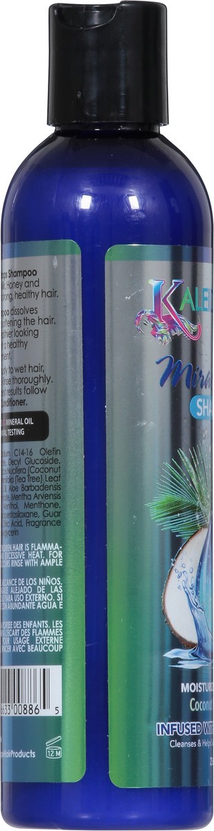 slide 2 of 9, Kaleidoscope Miracle Drops Moisturizing Coconut Milk & Honey Shampoo 8 fl oz, 8 fl oz