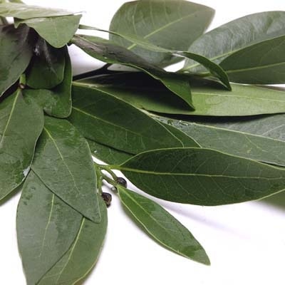 slide 1 of 1, Melissa's Bay Leaf Organic, 0.75 oz