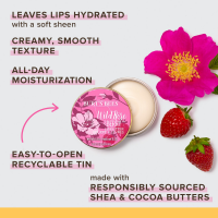 slide 15 of 19, Burt's Bees Natural Origin with Wild Rose and Berry Lip Butter Tin, 0.4 oz