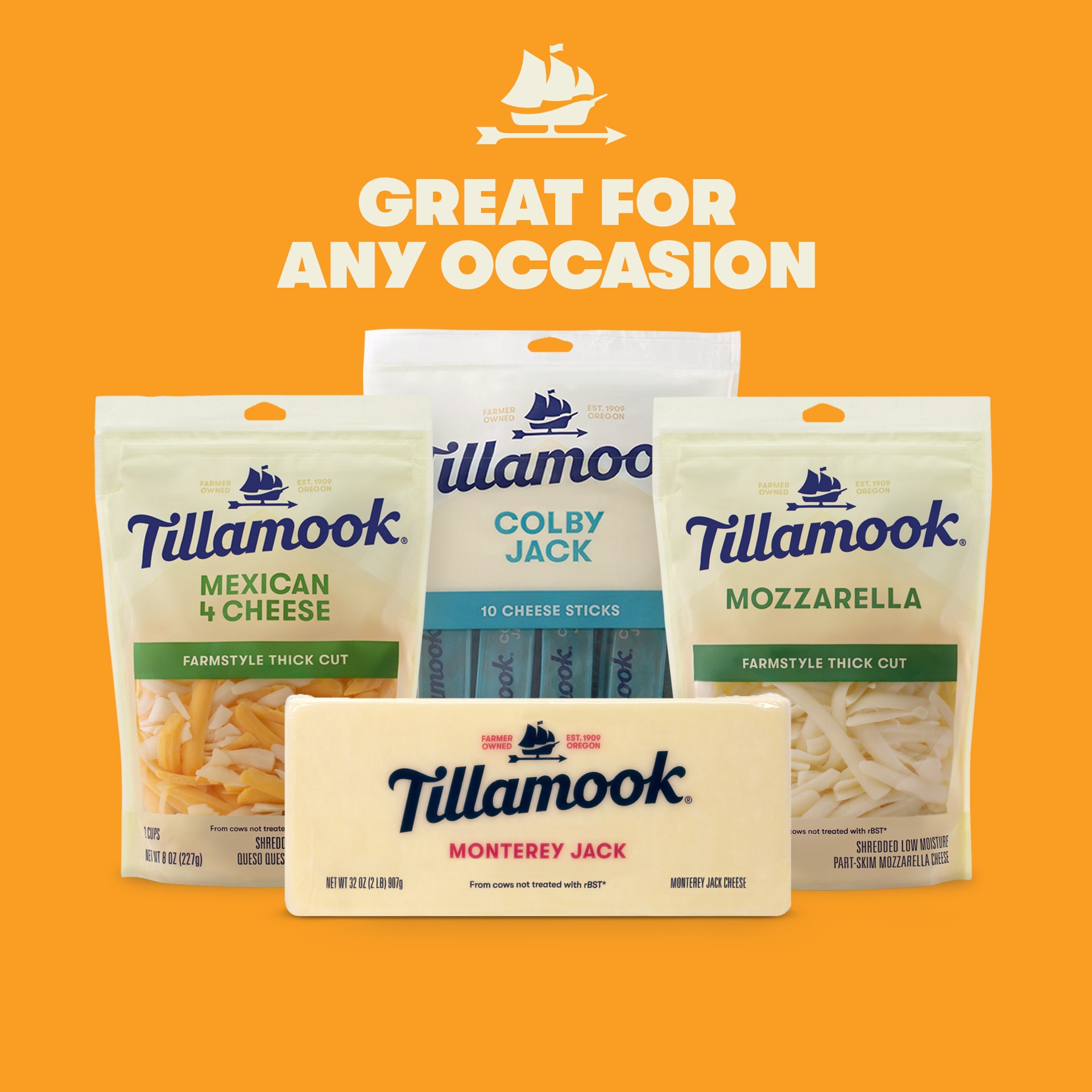 slide 3 of 6, Tillamook Monterey Jack Cheese 32 oz, 32 oz