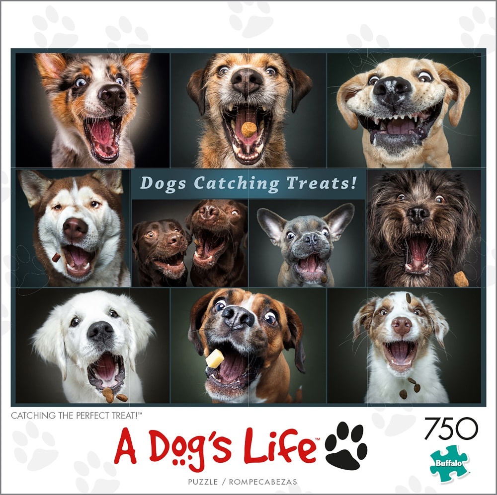 slide 1 of 1, Buffalo Games A Dog's Life Catching The Perfect Treat Puzzle, 750 ct