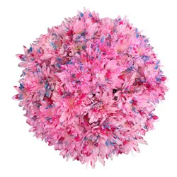 Pink Poms Bouquet