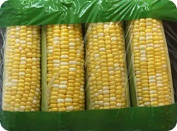 Corn 4 ea