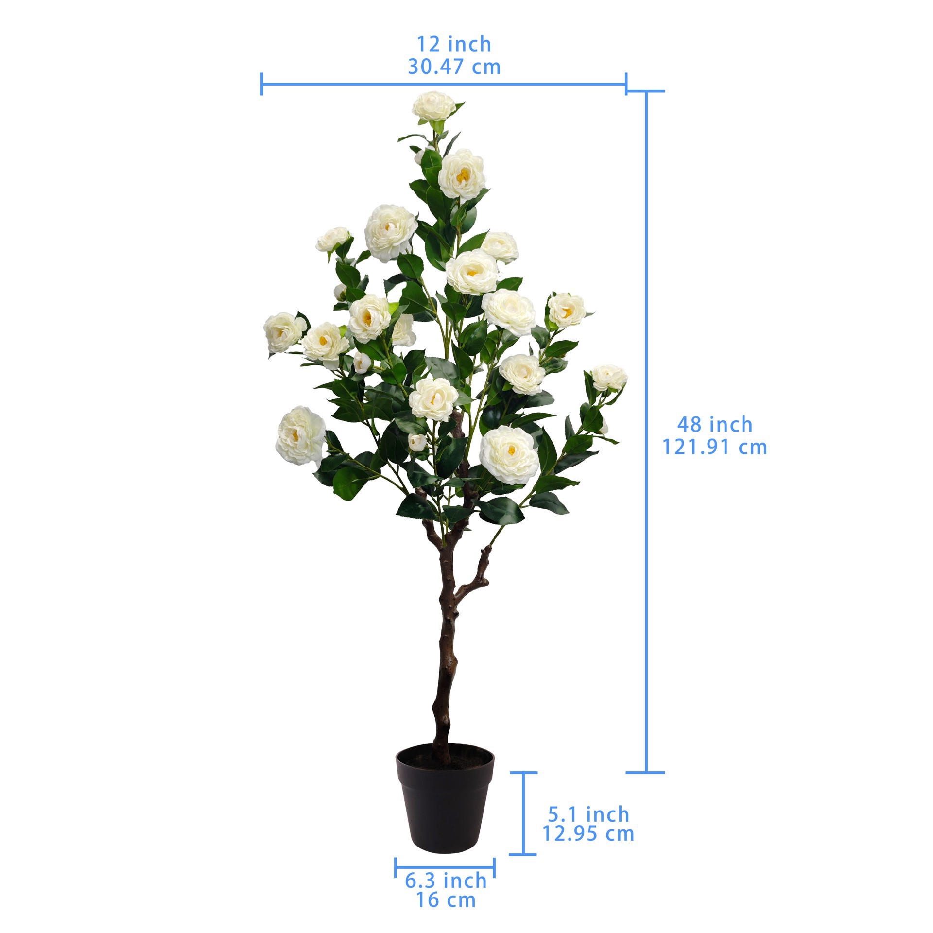 slide 2 of 3, 4ft. Potted Cream Camellia Tree By Ashland, 12 in x 12 in x 48 in