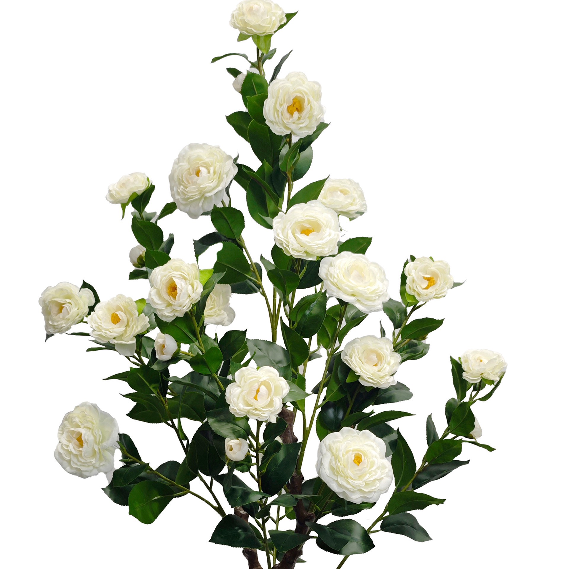 slide 3 of 3, 4ft. Potted Cream Camellia Tree By Ashland, 12 in x 12 in x 48 in