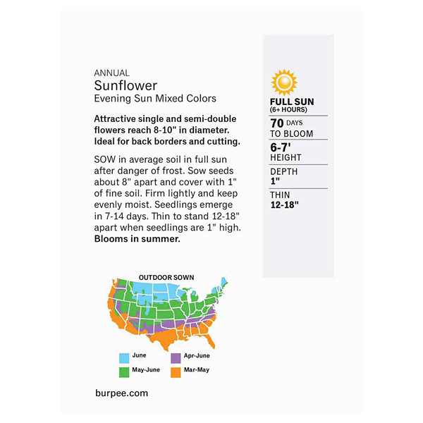 slide 3 of 5, Burpee Sunflower Evening Sun Mix Seeds, 1 ct