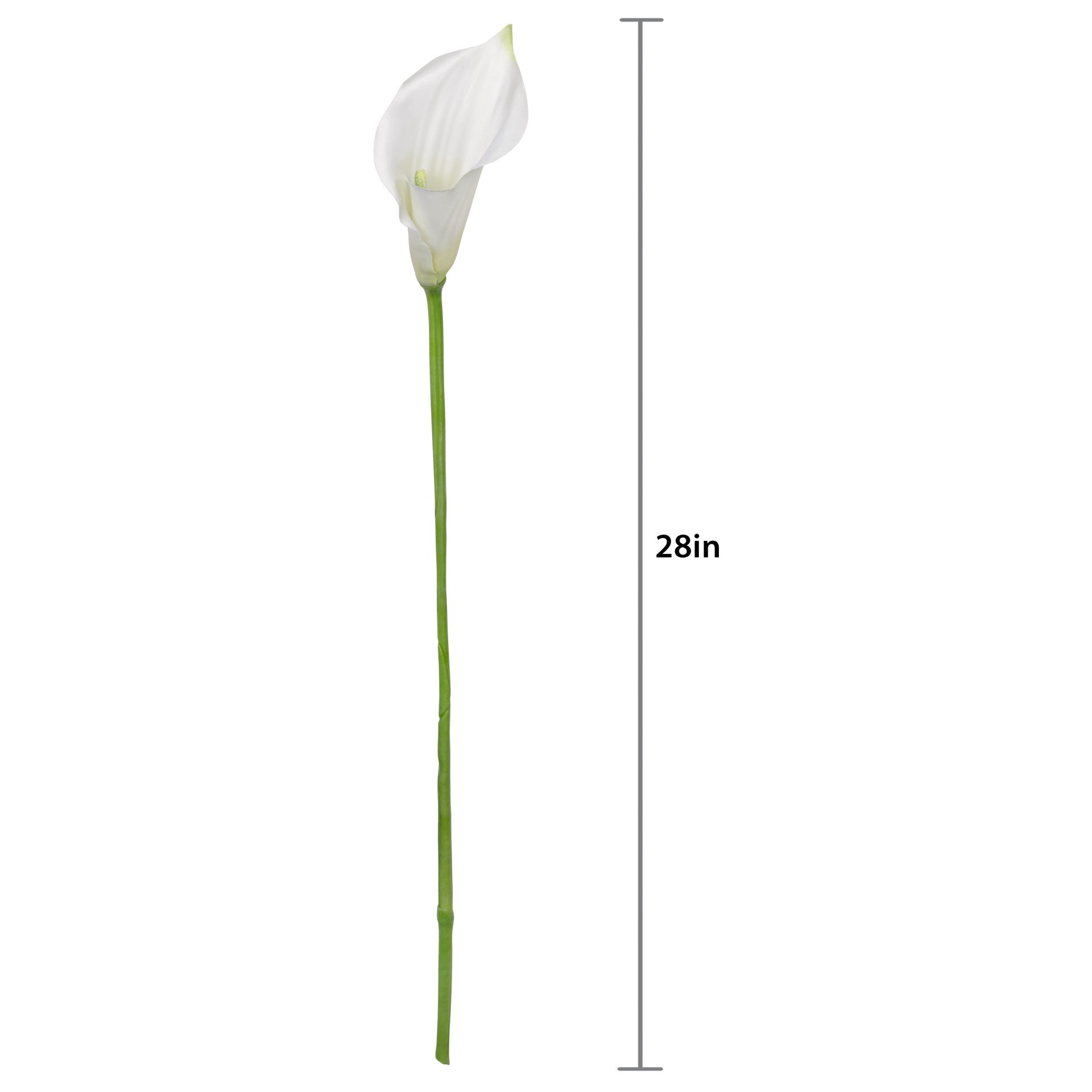 slide 3 of 3, 28" White Calla Lily Stem by Ashland, 4 in x 2 in x 28 in