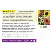 slide 2 of 5, Burpee All Summer Sunflower Cutting Garden Seeds, 1 ct