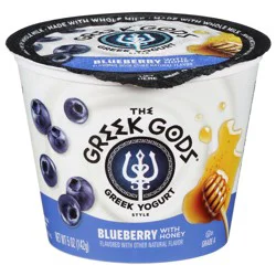 Greek Gods Blueberry Greek Yogurt 5oz - 5 Oz