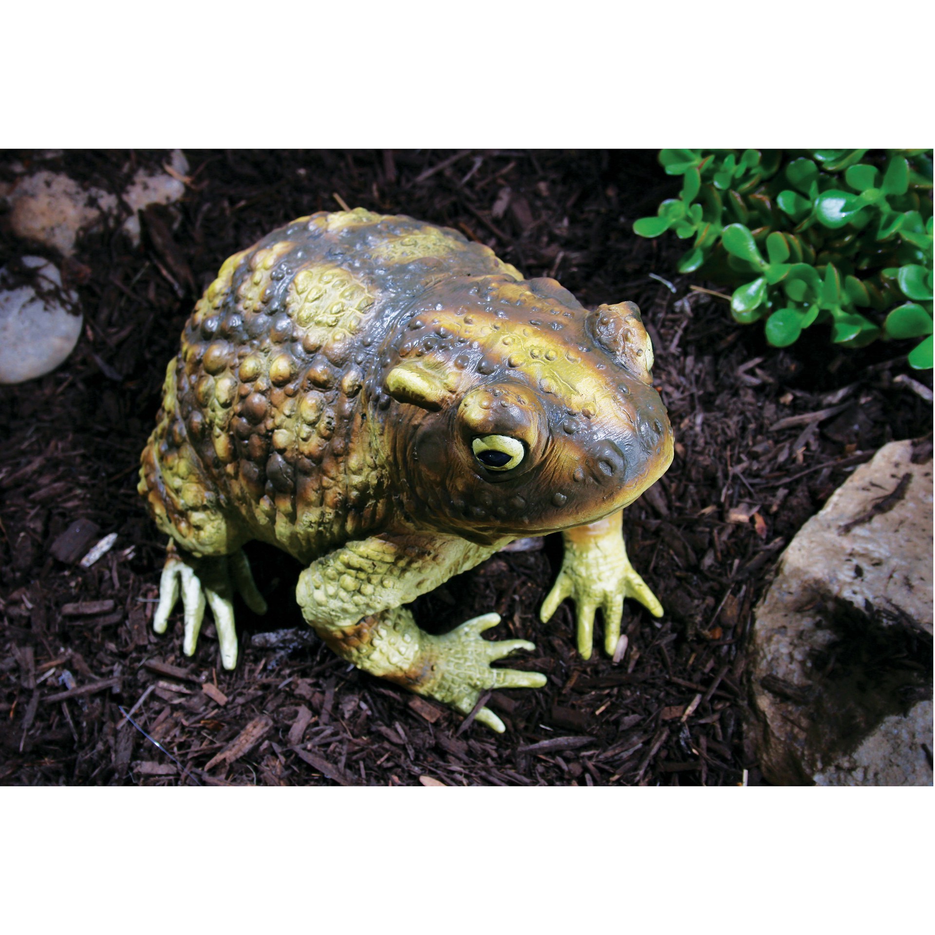 slide 3 of 3, 10" Green Frog By Ashland, 10 in