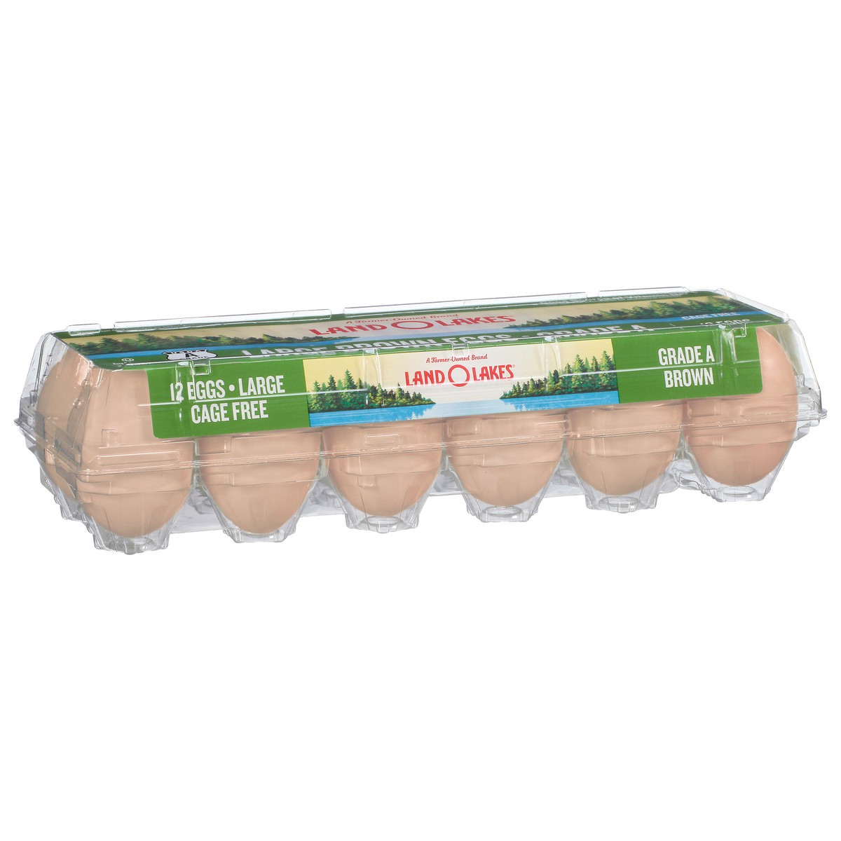 slide 2 of 9, Land O'Lakes Large Brown Cage Free Eggs, 12 Count, 12 ct