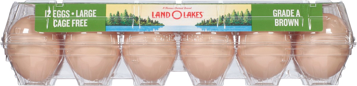 slide 7 of 9, Land O'Lakes Large Brown Cage Free Eggs, 12 Count, 12 ct