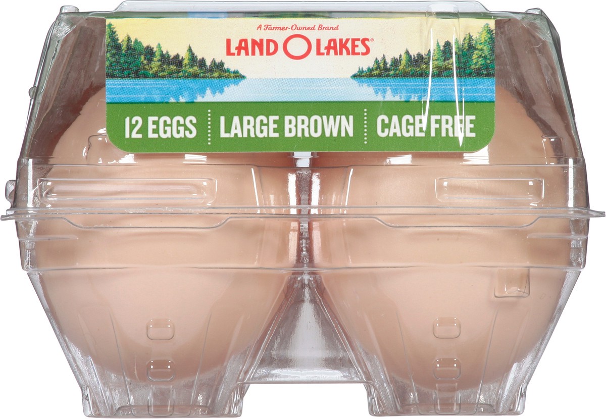 slide 9 of 9, Land O'Lakes Large Brown Cage Free Eggs, 12 Count, 12 ct