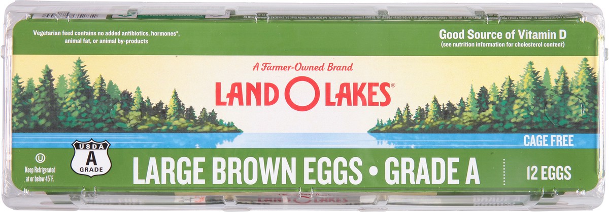 slide 6 of 9, Land O'Lakes Large Brown Cage Free Eggs, 12 Count, 12 ct