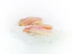 Farm Raised Frozen Tilapia Fillets