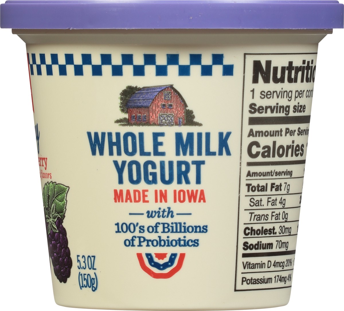 slide 9 of 9, AE Dairy Whole Milk Boysenberry Yogurt 5.3 oz, 5.3 oz