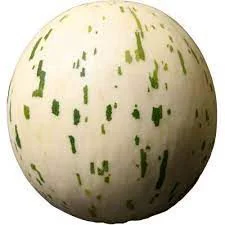 Dino Melon