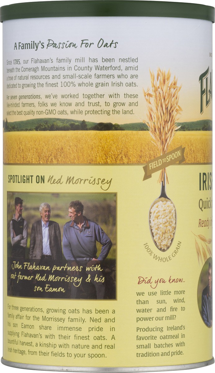 slide 3 of 12, Flahavan's Irish Steel Cut Oatmeal 24 oz, 24 oz