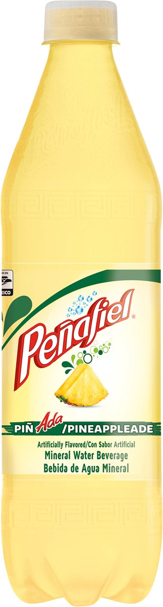 slide 6 of 11, Peñafiel Piñada Mineral Spring Water, 20.3 fl oz bottle, 20.30 fl oz