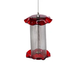 BIRDS CHOICE Bird's Choice Sunflower Forever Feeder