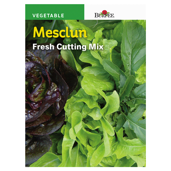 slide 1 of 1, Burpee Mesclun, Fresh Cutting Mix, 1 ct