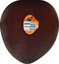 Plumcot 1 ea
