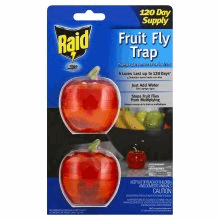 slide 1 of 1, Raid Fruit Fly Trap, 2 ct