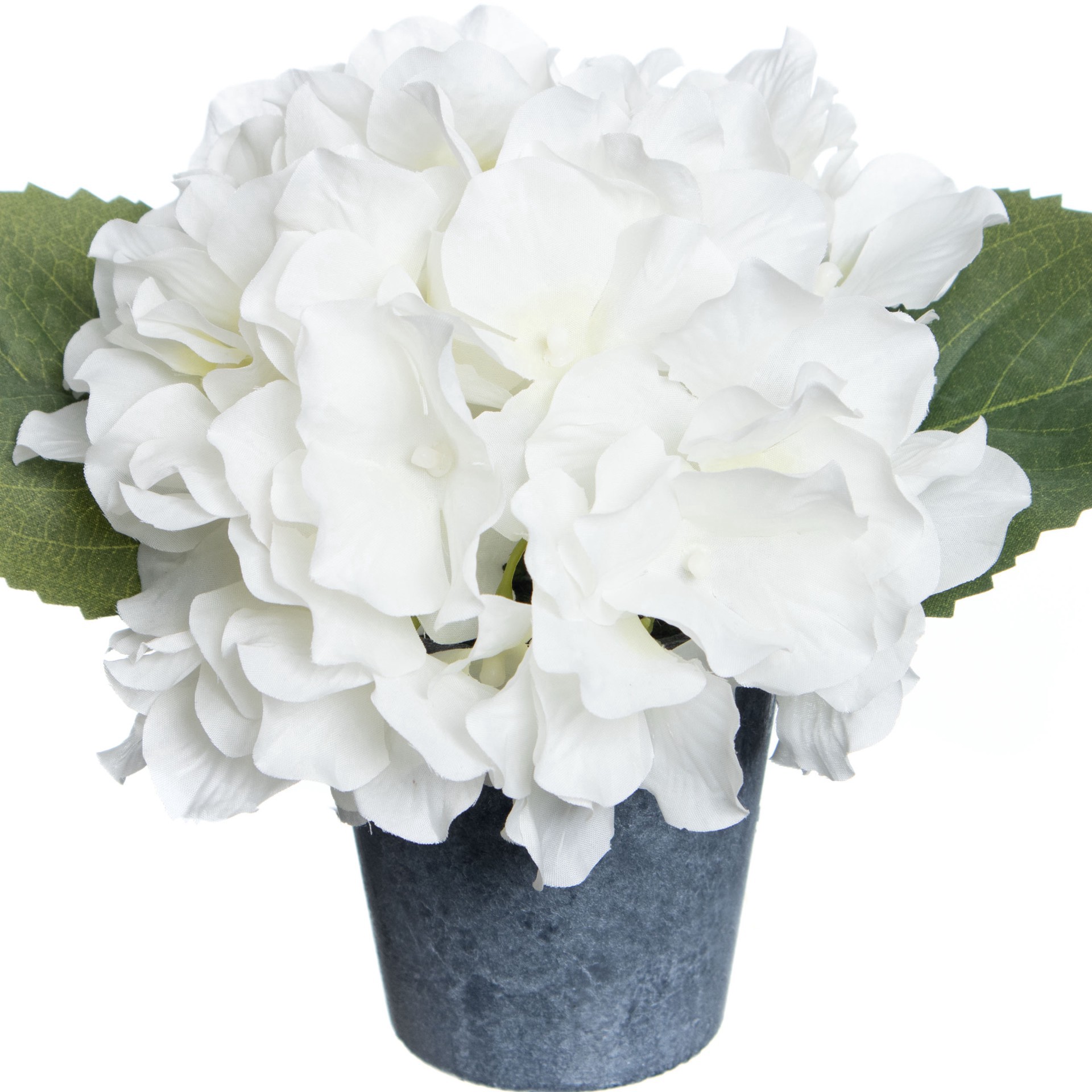slide 3 of 3, 10" Premade White Hydrangea Potted Plant By Ashland, 7 in x 10 in x 7 in