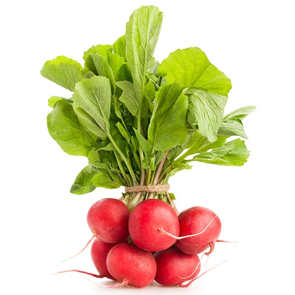 slide 1 of 1, Radish Bunches, 1 ct