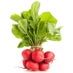 Radish Bunches