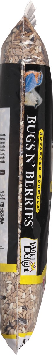 slide 2 of 15, Wild Delight Bugs N Berries Bird Seed, 4.5 oz