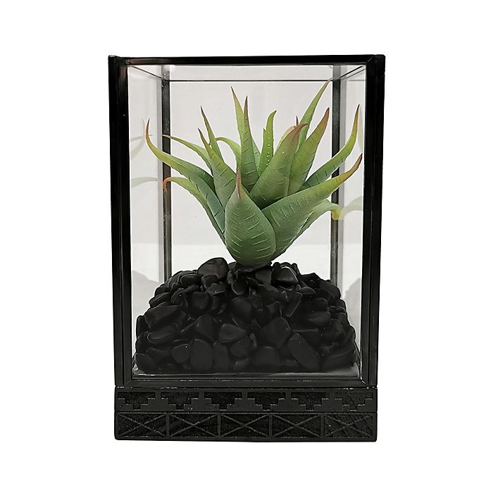 slide 1 of 1, Global Caravan Glass Cloche with Faux Succulent Plant, 6 in