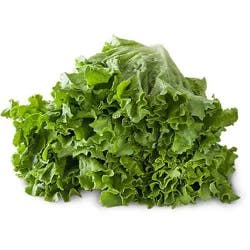 Lettuce Green Leaf