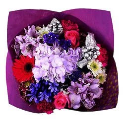 Bouquet Sugar Plum - EA