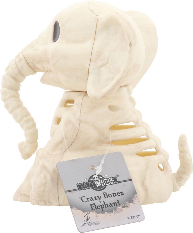 slide 3 of 4, H Elephant Skeleton, 1 ct