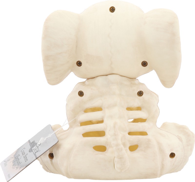 slide 2 of 4, H Elephant Skeleton, 1 ct