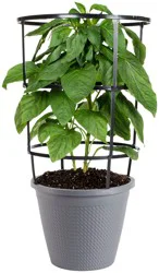 Bonnie Plants Jalapeno Hot Pepper 2.5 Gal. Cage, Live Plant