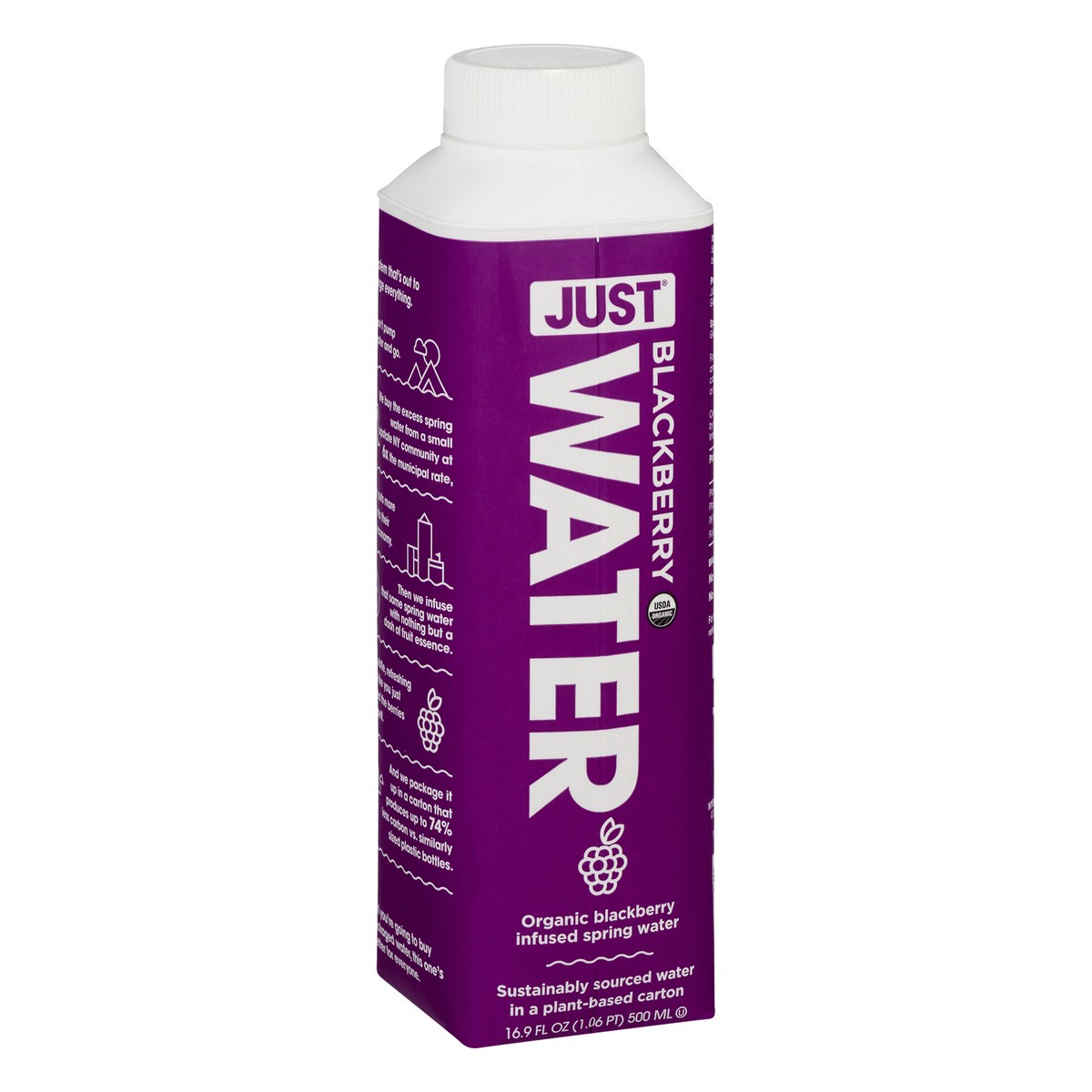 slide 8 of 10, Just Water Blackberry Water - 16.9 fl oz, 1 ct