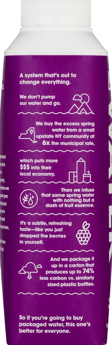 slide 4 of 10, Just Water Blackberry Water - 16.9 fl oz, 1 ct