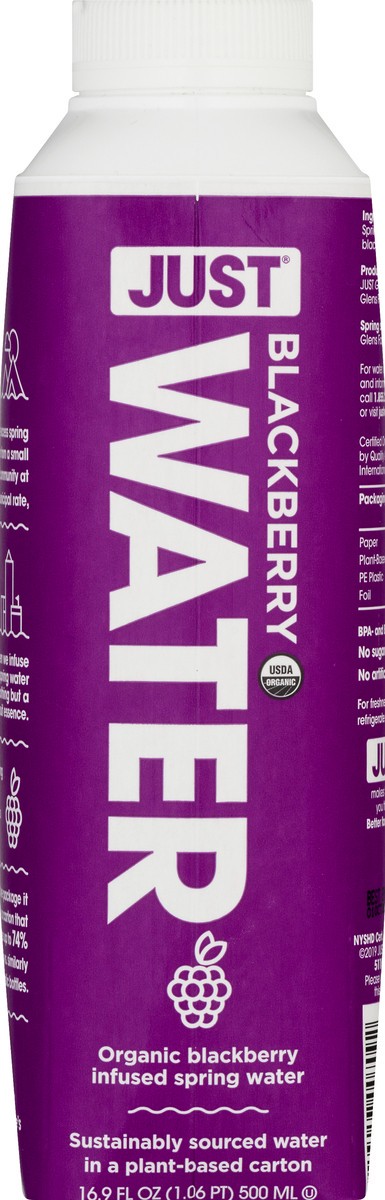 slide 2 of 10, Just Water Blackberry Water - 16.9 fl oz, 1 ct