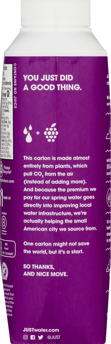 slide 9 of 10, Just Water Blackberry Water - 16.9 fl oz, 1 ct