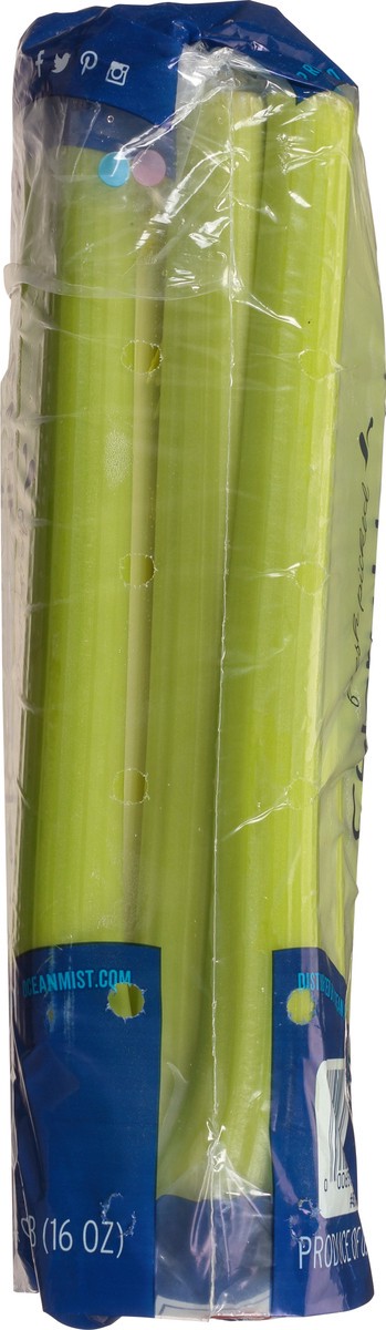 slide 2 of 9, Ocean Mist Farms Fresh Picked Celery Hearts 16 oz, 2 ct