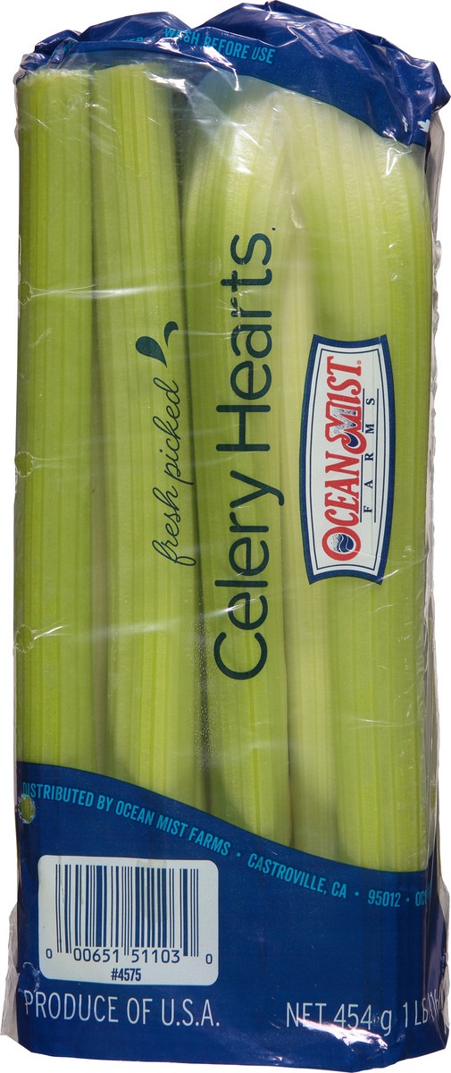 slide 1 of 9, Ocean Mist Farms Fresh Picked Celery Hearts 16 oz, 2 ct