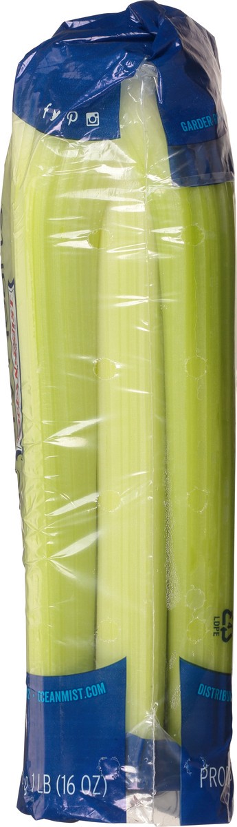 slide 3 of 9, Ocean Mist Farms Fresh Picked Celery Hearts 16 oz, 2 ct