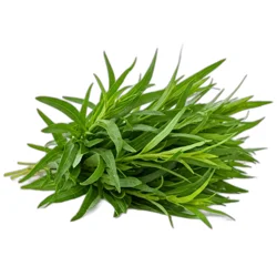 Soli Organic Tarragon
